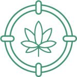 сорт Haze